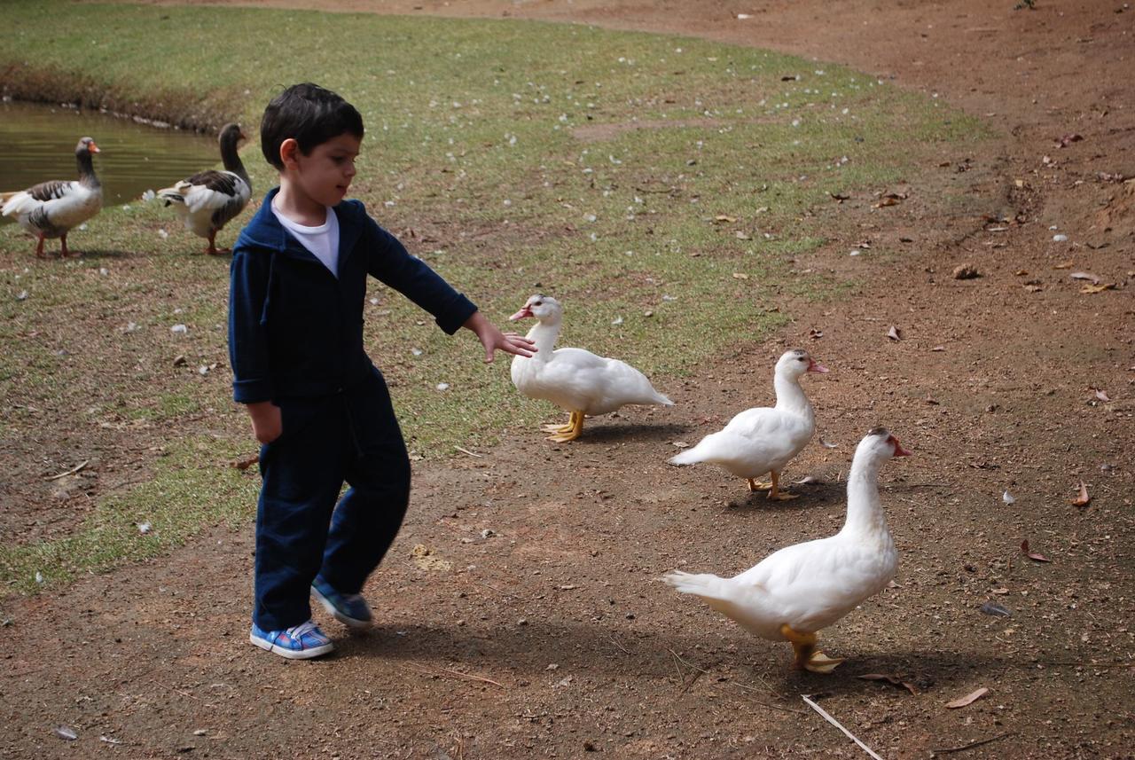 Pousada Quinta Dos Doges فالينسا المظهر الخارجي الصورة